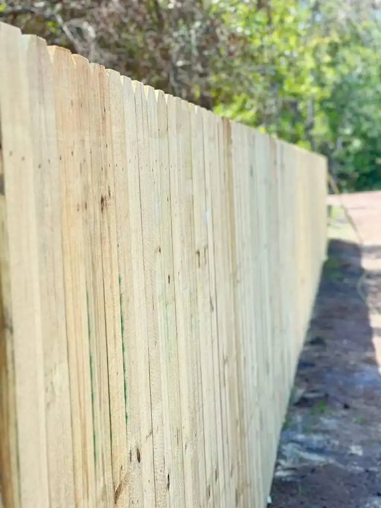 Black aluminum fence installed along a pond with neighborhood homes in the background