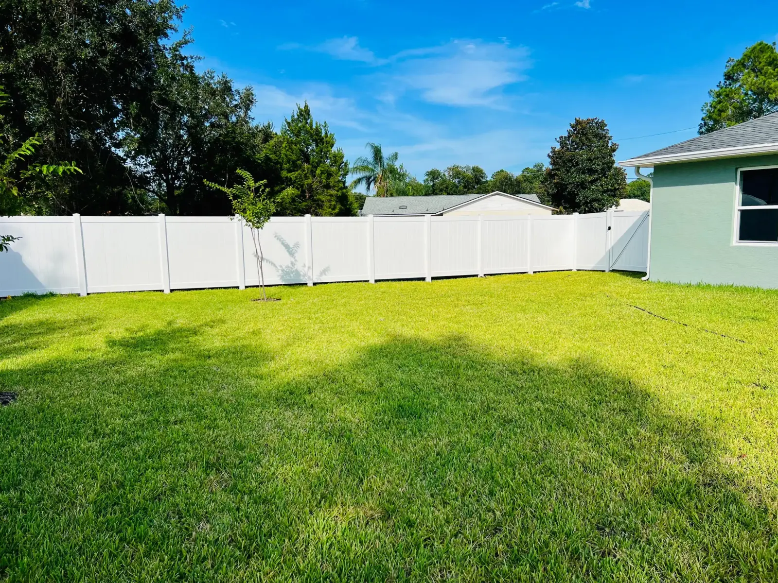 White vinyl privacy fence installed in a wooded backyard with a newly planted tree